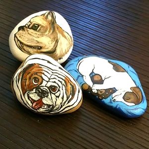 🇨🇦Hand painted garden or knick knack rocks